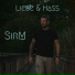 SirM