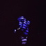 Projet Insecte
