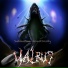 Walrus