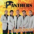 Los Panthers De Guerrero