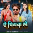 Pravesh Lal Yadav, Shilpi Raj