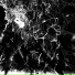 Ssatee, RSXL, 55tears, BAMP1R