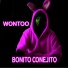 Wontoo