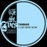 Tammar