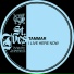 Tammar