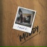 Moddy