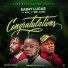 SaintLucas feat. 9ice, Qdot