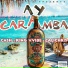 Cash, king vvibe, Calichris