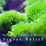 Relaxing BGM Project