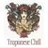 Chillout Sound Festival, DJ Infinity Night