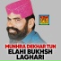 Elahi Bukhsh Laghari