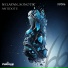 Nelayan, Sonotik