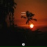 sunbvrn