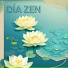 Zen Nadir