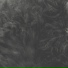 CASHMERE CAT