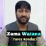 Faroz Konduzi
