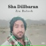 Zia Baloch