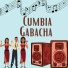 CUMBIA MIX EXITOS PARTE 2