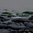 Relajación, Tinnitus, Chillout Lounge