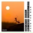DSTRTD SGNL, Ruined Conflict