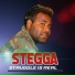 Stegga