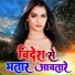 Videshi Lal Yadav