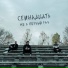 Семнадцать
