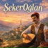 Didem Şen