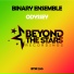 Binary Ensemble