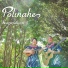 Polinahe