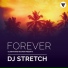 DJ Stretch