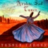 Yasser Farouk