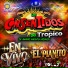 Rigo Y Su Grupo Los Consentidos Del Tropico