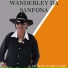 Wanderley da Sanfona