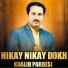 Khalid Pardesi