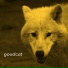 Goodcat