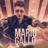 Mario Gallo