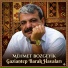 Mehmet Bozgeyik