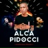 Alca Pidocci
