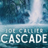 Joe Callier