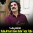 Sadiq Afridi