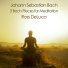 Ross DeLuca, Johann Sebastian Bach