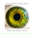 The Southbound River Band