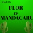 Quadrilha Flor de Mandacaru