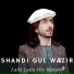 Shandi Gul Wazir