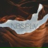 NBSPLV