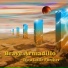 Brave Armadillo