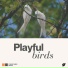 Essential Nature Sounds