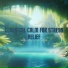Symphony Orchestra Anti-Stress Sound