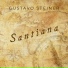 Gustavo Steiner